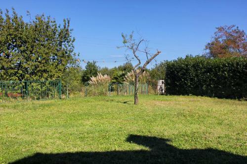 Apartment Zambratija 7141c