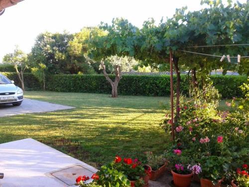 Apartment Zambratija 16297b