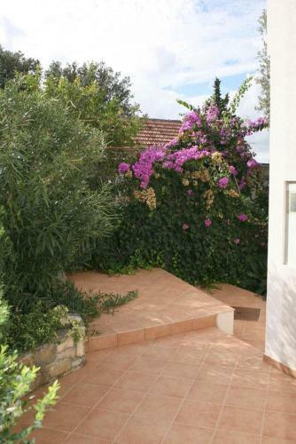 Apartment Seget Vranjica 13771d