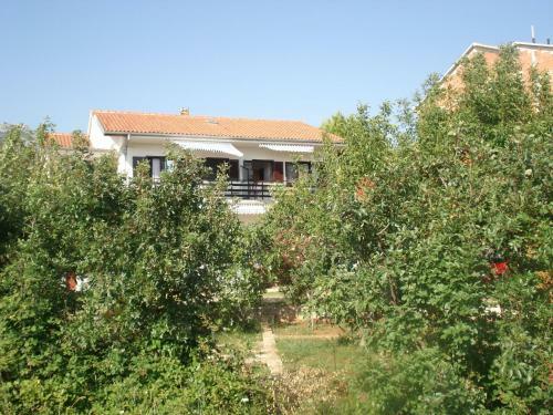 Apartments Jurlina