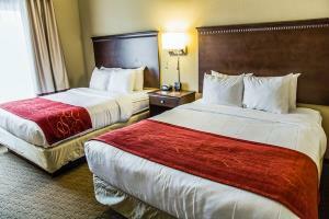 Hotel Comfort Suites Sarasota