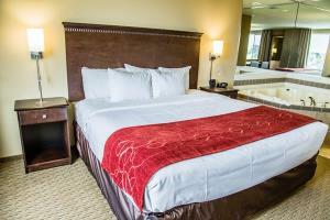 Hotel Comfort Suites Sarasota