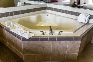Hotel Comfort Suites Sarasota