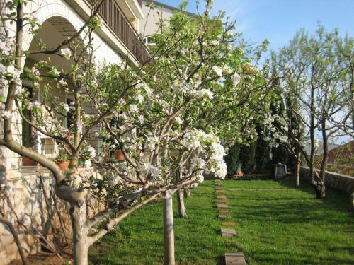 Apartamentos Studio Senj 15376a