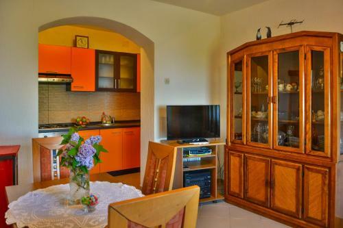 Apartment Skale