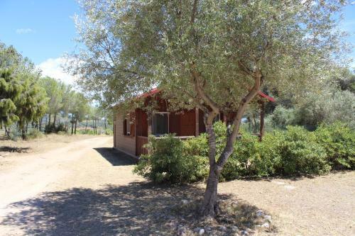 Rocaplana Club De Campo