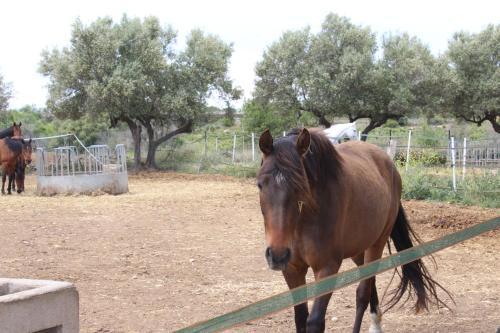 Rocaplana Club De Campo