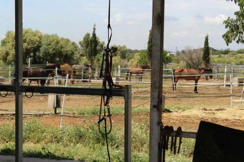 Rocaplana Club De Campo