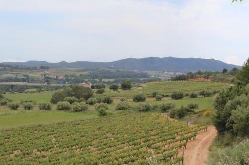 Rocaplana Club De Campo