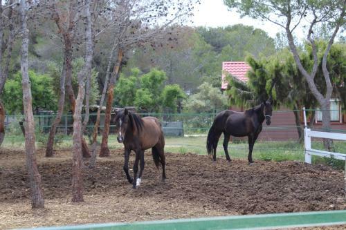 Rocaplana Club De Campo
