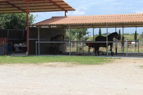 Rocaplana Club De Campo
