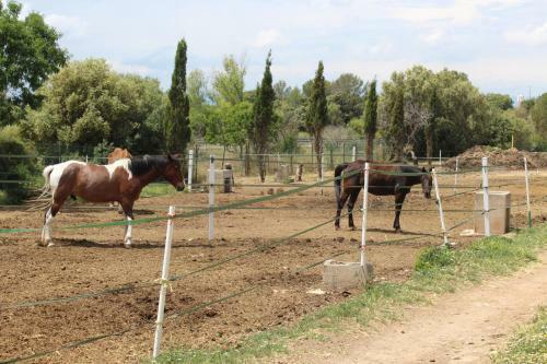 Rocaplana Club De Campo