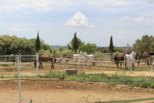 Rocaplana Club De Campo