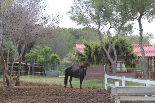 Rocaplana Club De Campo