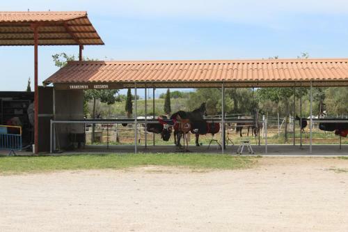 Rocaplana Club De Campo