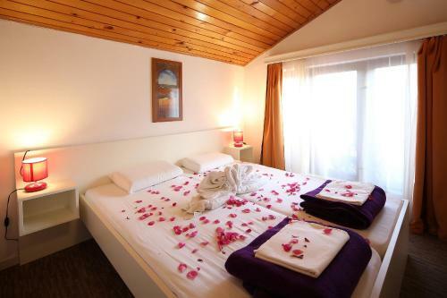 Hostal Guest House Zeba & Riviera