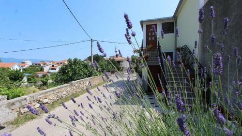 Apartment In Silo/insel Krk 13573