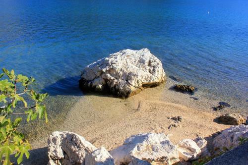 Apartment Slano 8538a