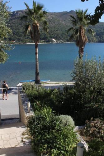 Apartment Slano 8538a