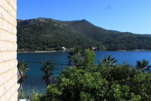 Apartments By The Sea Slano (dubrovnik) - 8538