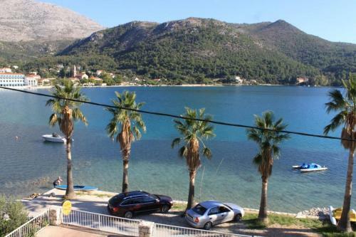Apartments By The Sea Slano (dubrovnik) - 8538