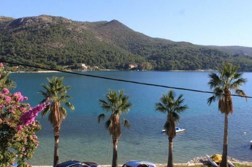 Apartments By The Sea Slano (dubrovnik) - 8538