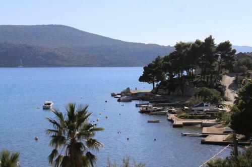 Apartments By The Sea Slano (dubrovnik) - 8538