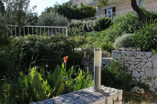 Apartments By The Sea Slano (dubrovnik) - 8538