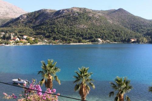 Apartments By The Sea Slano (dubrovnik) - 8538