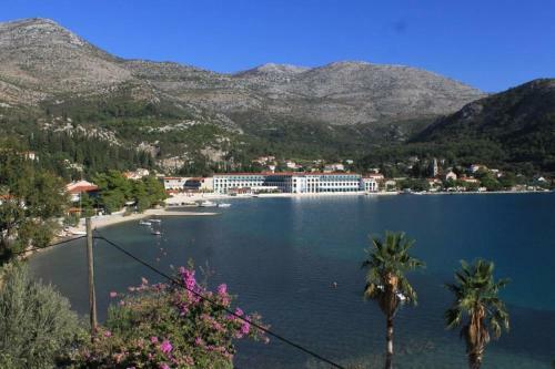 Apartments By The Sea Slano (dubrovnik) - 8538