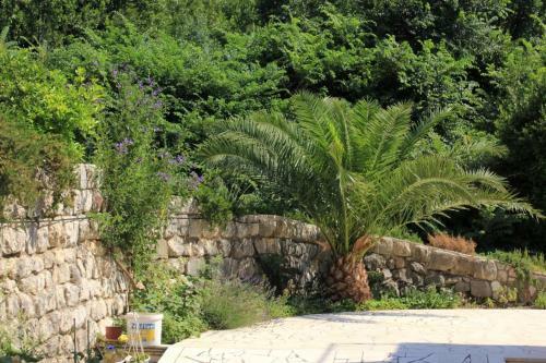 Apartamentos Studio Slano 3184d