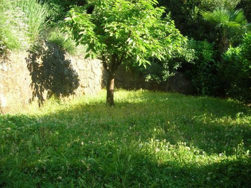 Apartamentos Vacation Home Lucija