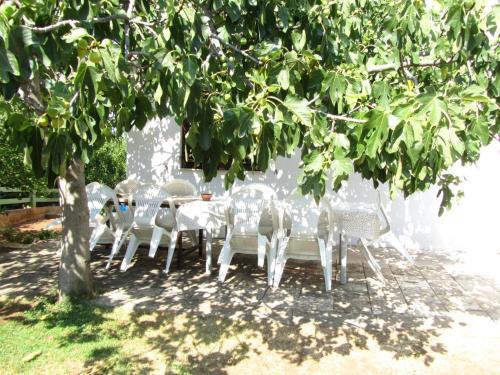 Apartment Slatine 15916b