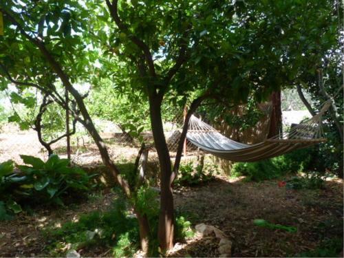 Apartment Slatine 15175b