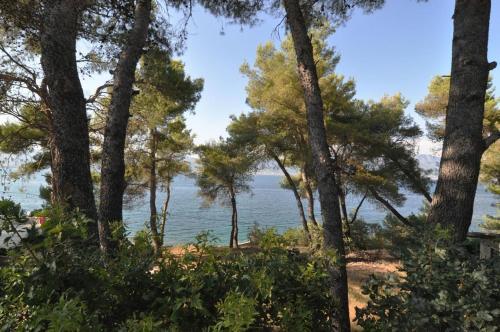 Apartment Slatine 12491b