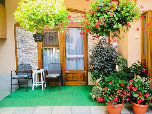Hostal Guesthouse Coco