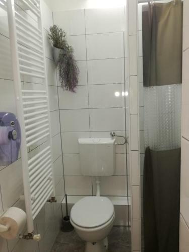 Hostal Guesthouse Coco