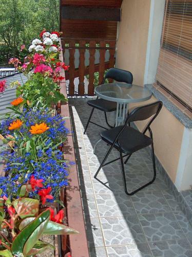 Apartments Ana