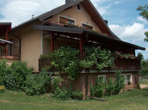 Apartments Ana