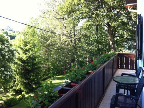 Hostal Apartments & Rooms Renata