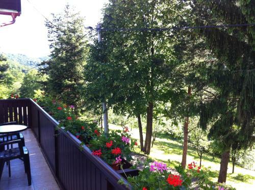 Hostal Apartments & Rooms Renata