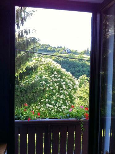 Hostal Apartments & Rooms Renata