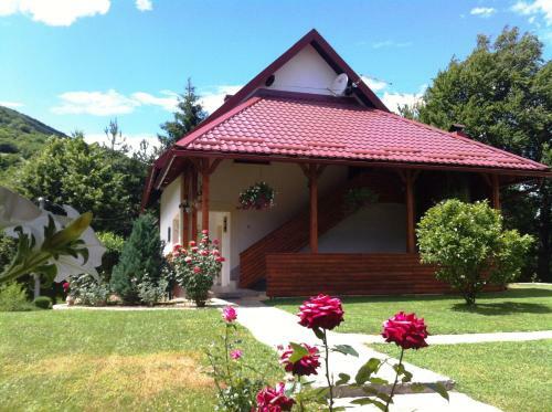 Hostal Apartments & Rooms Renata