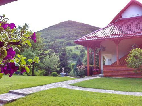 Hostal Apartments & Rooms Renata