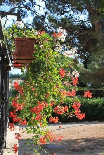 Hostal Apartment Porec 7042b
