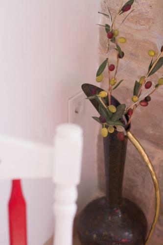 Apartment Fonte