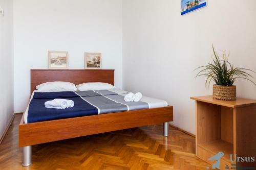 Apartment Janji?