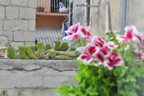 Hostal Guest House Stagnja