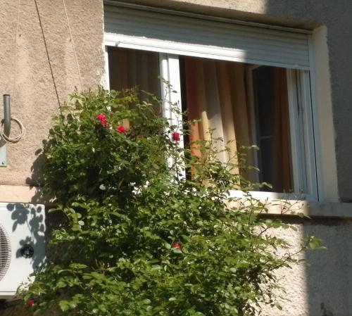 Apartment Boris P A1