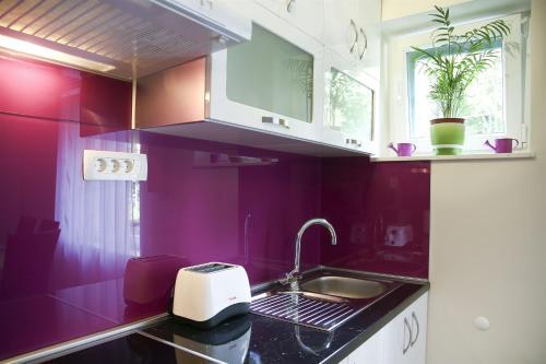 Apartment Andelina